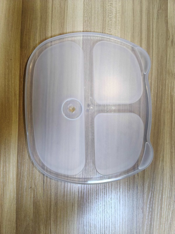 Food Grade Plastic Injection Mould P20/718/738/NAK80/S136 Material For Customized Pet Tray